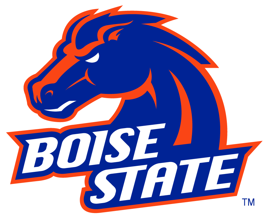 Boise State Broncos 2002-2012 Alternate Logo v2 t shirts iron on transfers